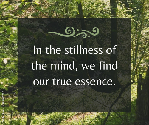 In the stillness of the mind, we find our true essence 