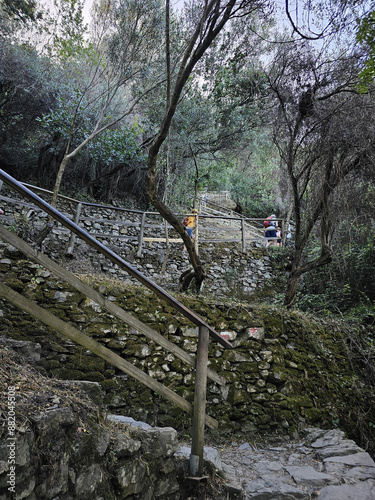 Cimbing up the Stairs photo