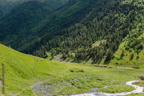 A river flows in the mountains
