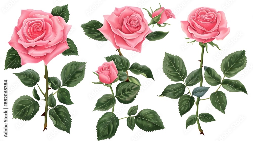 Set of beautiful pink roses with lush green leaves, cut out Set of beautiful pink roses with lush green leaves, cut out
