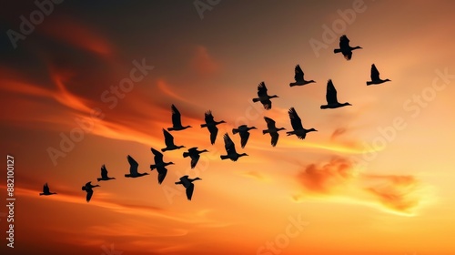 Wallpaper Mural Group of birds in synchronized flight, species frozen in a captivating pattern, set against a dramatic sunset sky, emphasizing harmony and beauty Torontodigital.ca
