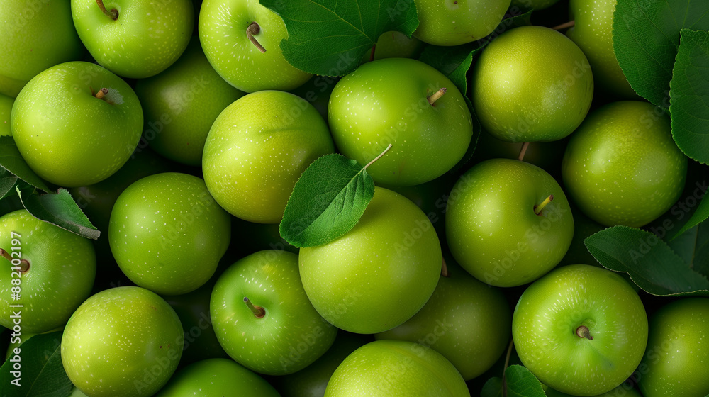 Close-up of Korean green plums, showcasing their vibrant green color and smooth texture, great for making plum wine or enjoying fresh. Close-up of Korean green plums, showcasing their vibrant green color and smooth texture, great for making plum wine or enjoying fresh.