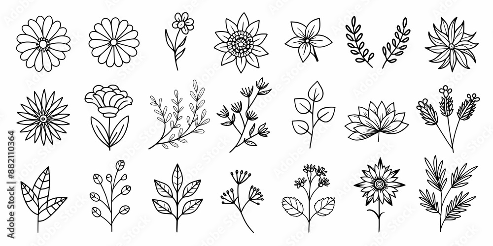 Beautiful floral element collection with various botanical and leaf designs Beautiful floral element collection with various botanical and leaf designs