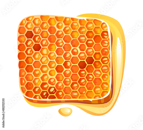 Honeycomb with Dripping Honey