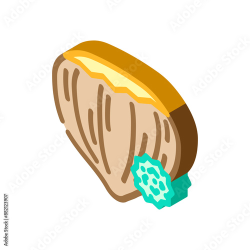 tree nuts allergen free product food isometric icon vector. tree nuts allergen free product food sign. isolated symbol illustration