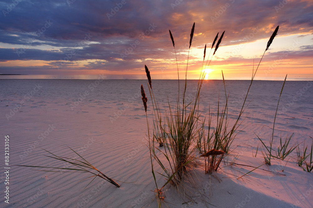 Naklejka premium Bałtyk, plaża, zachód słońca, lato, Kołobrzeg, Polska
