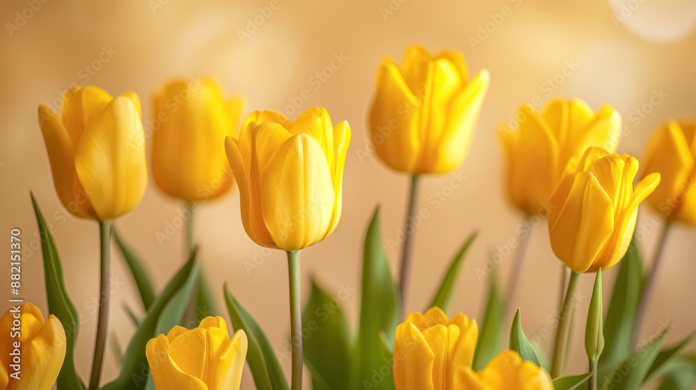 A spring-themed composition with yellow tulips on a neutral beige background A spring-themed composition with yellow tulips on a neutral beige background