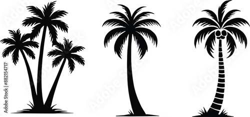 Set of palm trees silhouette, vector illustration.