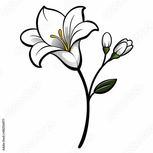 Wallpaper Mural A branch of a freesia flower vector illustration 
 Torontodigital.ca