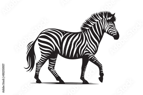 zebra silhouette vector illustration