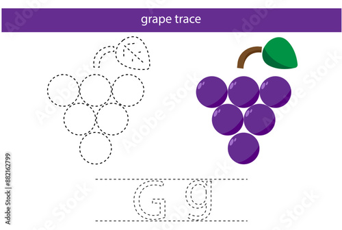 letter g grape fruit child hand writing trace exercise children book line flat design