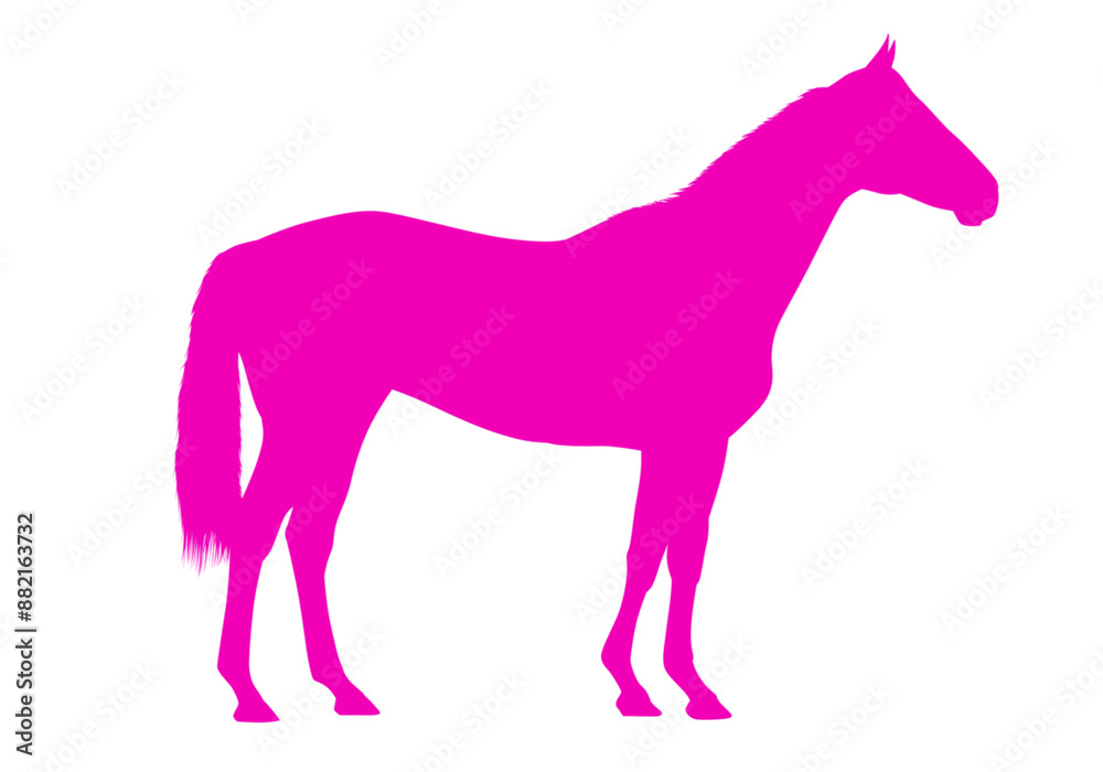 Neon Pinke Pferdesilhouette auf transparentem Hintergrund