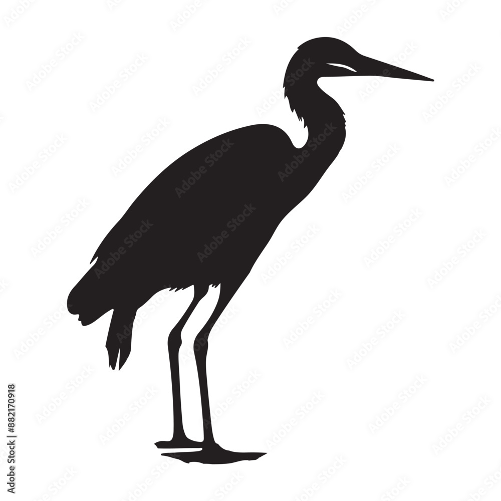 Fototapeta premium Heron standing on one leg silhouette white background 
