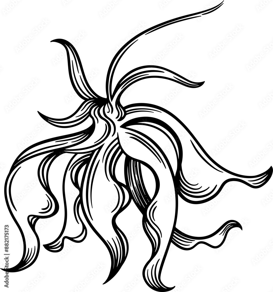 ylang-ylang flower ylang-ylang flower