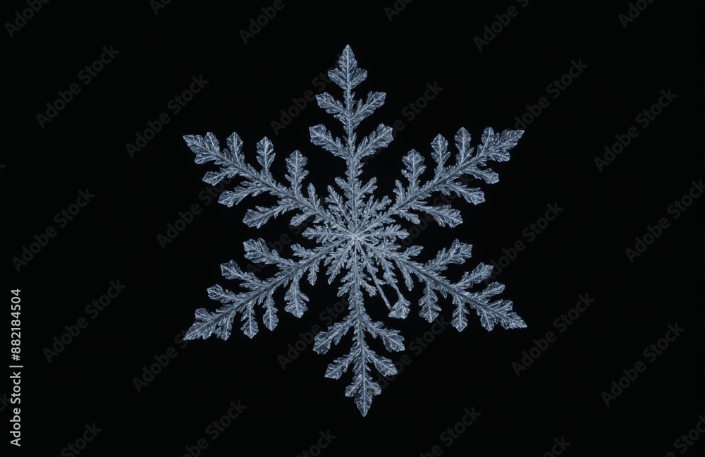 snowflake crystal In front of black background snowflake crystal In front of black background