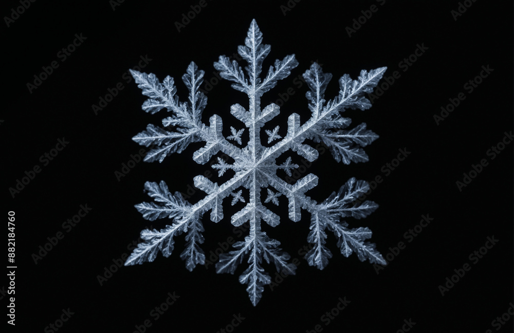 snowflake crystal In front of black background snowflake crystal In front of black background