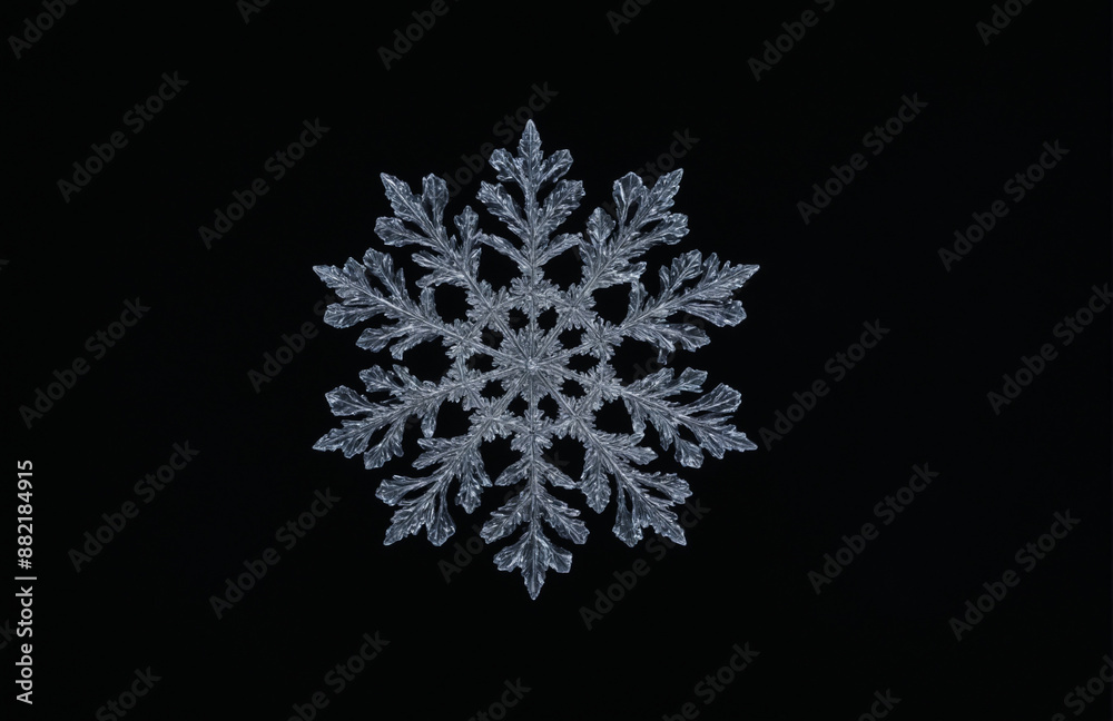 snowflake crystal In front of black background snowflake crystal In front of black background