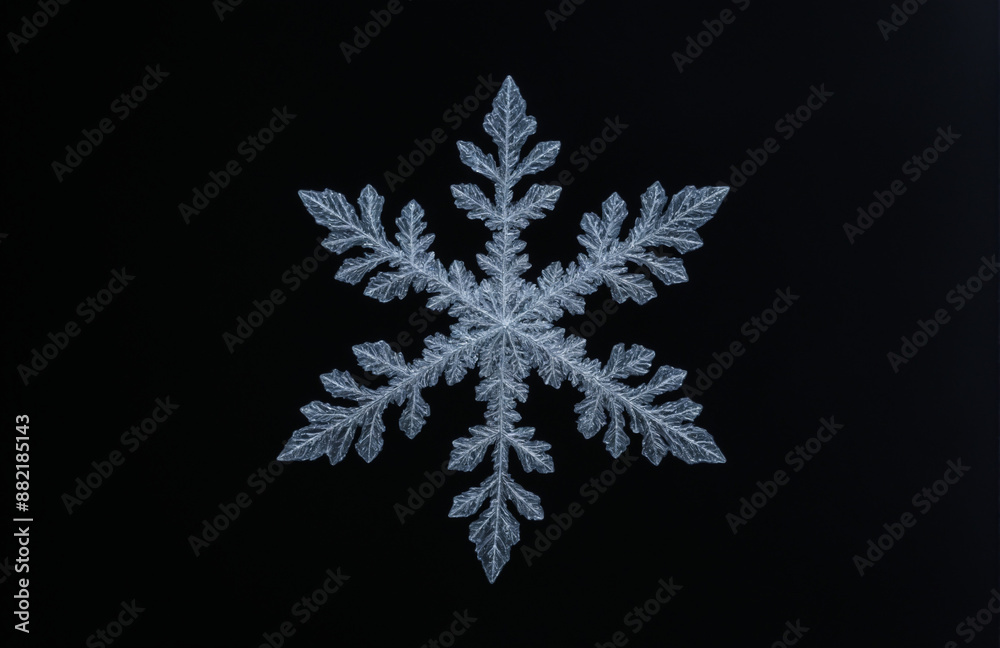 snowflake crystal In front of black background snowflake crystal In front of black background