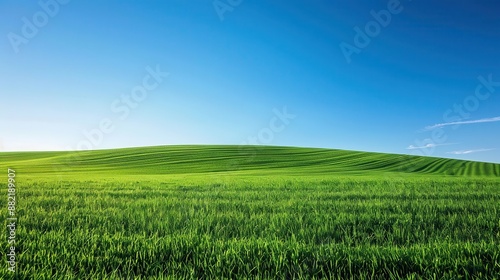 green field with a blue sky in the background © LUPACO IMAGES