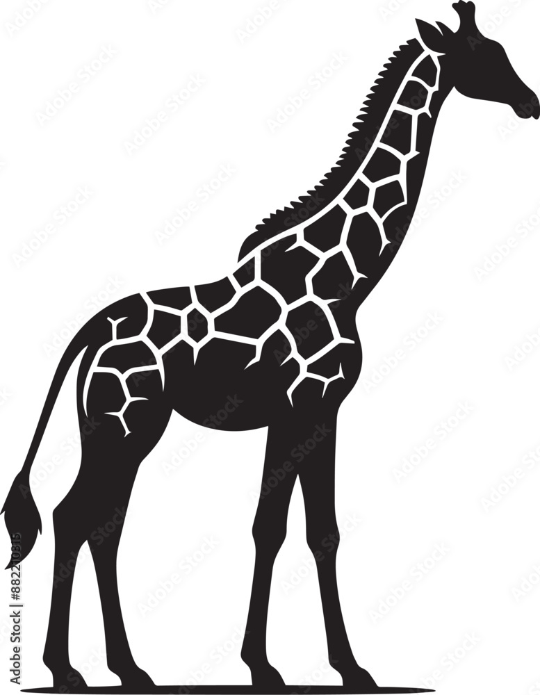 Obraz premium Zebra Silhouette isolated on white background Minimalist elephant vector shape icon