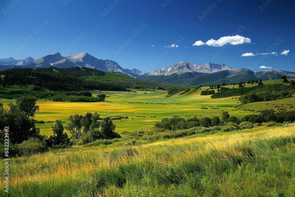 Mountain Range View Over Vast Meadow Mountain Range View Over Vast Meadow