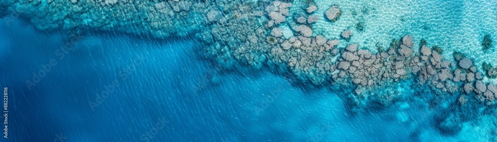 Naklejka premium Aerial view of clear blue ocean water with rocky shoreline. Vibrant coastal landscape showcasing the beauty of nature and tropical waters.