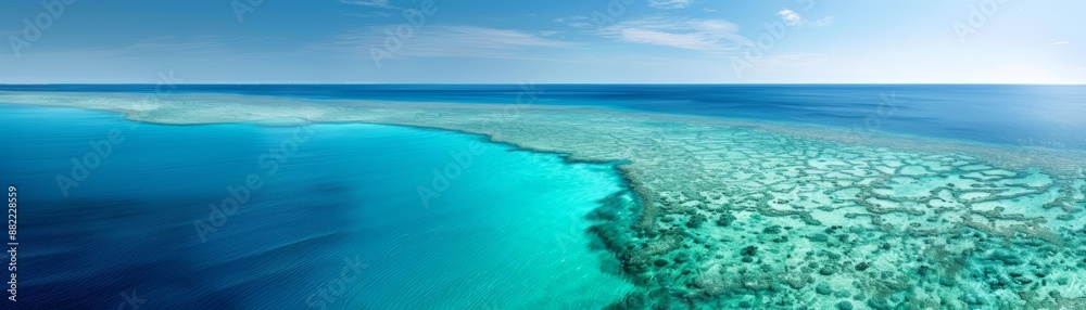 Aerial view of a beautiful coral reef and clear blue waters in the ocean under a clear sky, showcasing tropical marine beauty and aquatic life. Aerial view of a beautiful coral reef and clear blue waters in the ocean under a clear sky, showcasing tropical marine beauty and aquatic life.