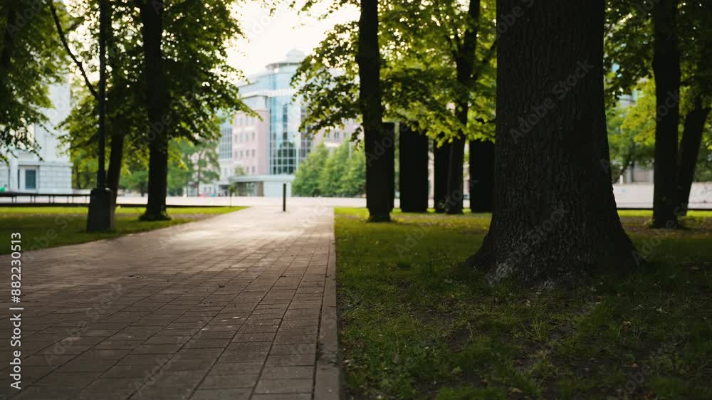 Take a leisurely stroll through a serene urban park trail surrounded by lush green foliage for a peaceful experience Take a leisurely stroll through a serene urban park trail surrounded by lush green foliage for a peaceful experience