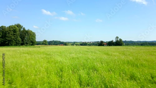 field of grass and sky
