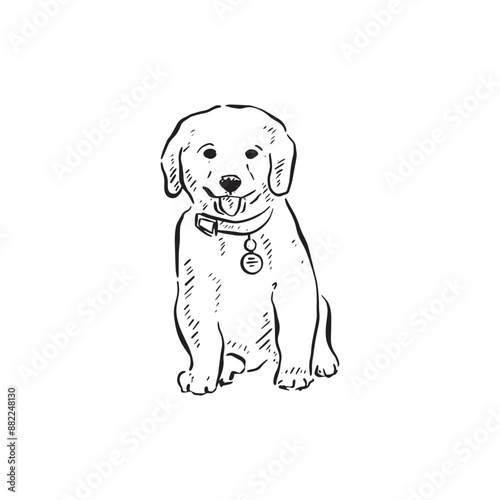 A line drawn sketch of a labrador retriever puppy facing front in a sketch style wearing a collar. Drawn by hand in black and white.	