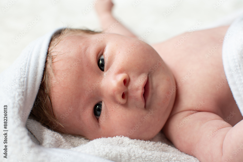 Portrait of a Newborn baby girl after a bath in a white towel. 1-month-old baby. Caucasian baby