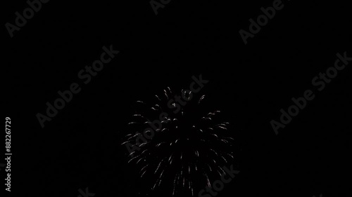 fireworks in the sky