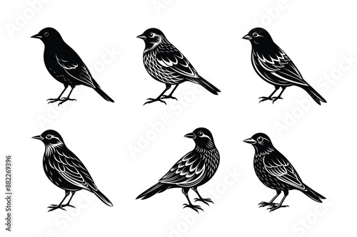 Wallpaper Mural set of bird Black Silhouette Bundle - Stunning Vector Illustrations for Wild or domestic animals Nature Lovers, isolated on white Torontodigital.ca