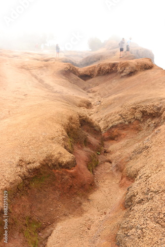 sand dunes in the desert