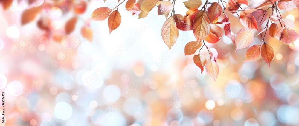 Fototapeta premium Autumn colorful background, fall backdrop