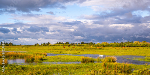 Le marais du Crotoy sous un ciel chargé en Baie de Somme photo