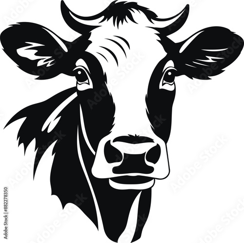 Hand drawn engraving and silhouette style cow head vector illustrations for print, wall art, clipart