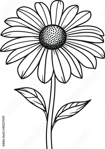 A hand drawn engraving style sunflower flower vector illustrations for print