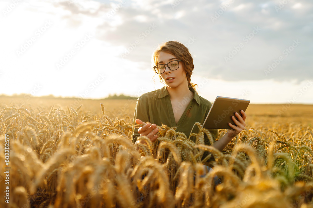 Young female worker standing in wheat field. Scientist analysing wheat quality, adding data to tablet. Growth dynamics. Young female worker standing in wheat field. Scientist analysing wheat quality, adding data to tablet. Growth dynamics.