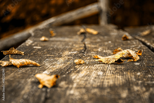 dry fallen leaves on a wooden table of a picnic area photo