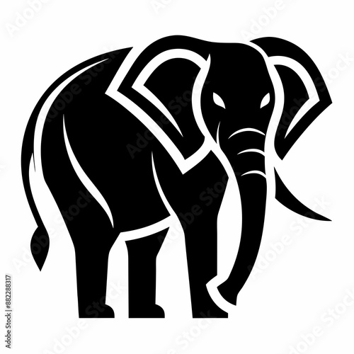 elephant isolated on white background photo