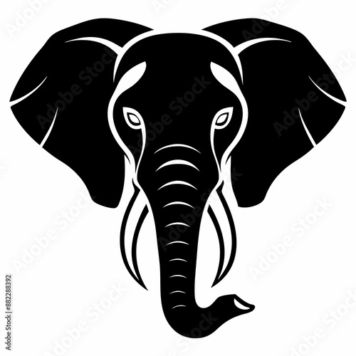 elephant isolated on white background photo