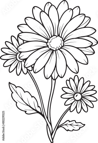 African daisy vector Line Art illustration. 