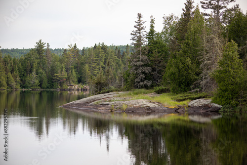 lake in the forest