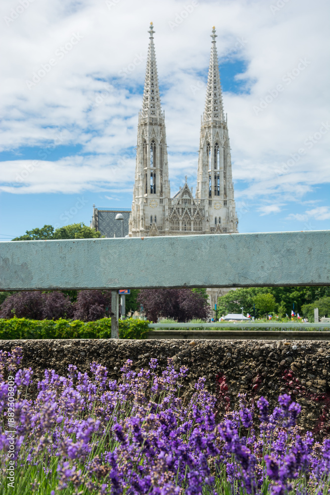 Votive church and lavender flowers in the center Vienna, Austria.