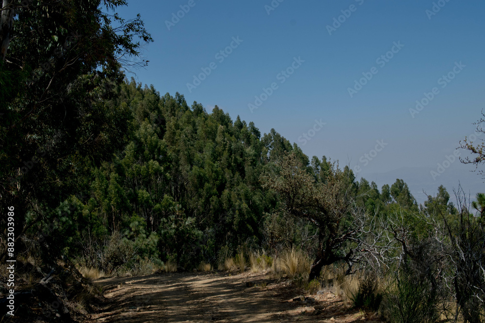 Parque Tunari Cochabamba Parque Tunari Cochabamba