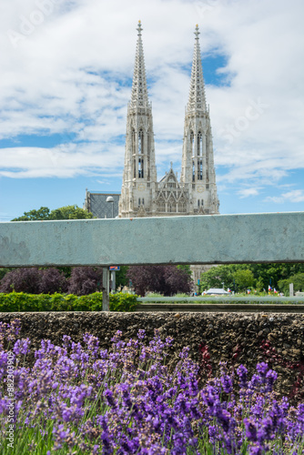 Obraz na płótnie Votive church and lavender flowers in the center Vienna, Austria. w salonie