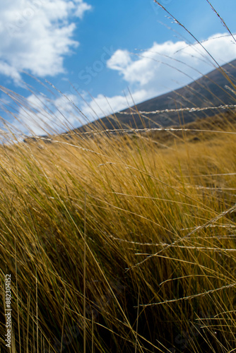 Parque Tunari Cochabamba