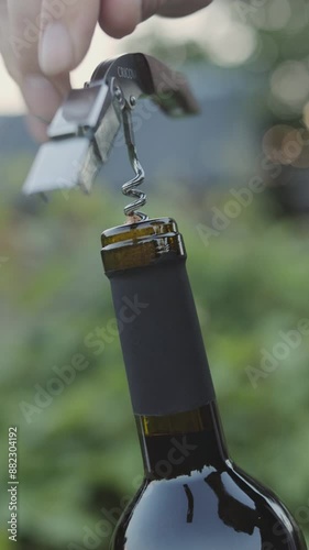 Hands of man opening bottle of red wine with a corkscrew in park at sunset, close up. Vertical video.
