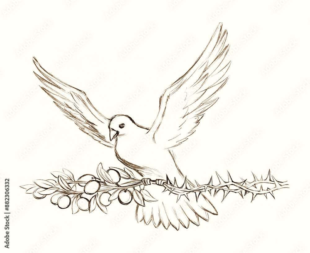 Fototapeta premium Pencil drawing. The Holy Spirit in the form of a dove turns a thorn tree into an olive branch